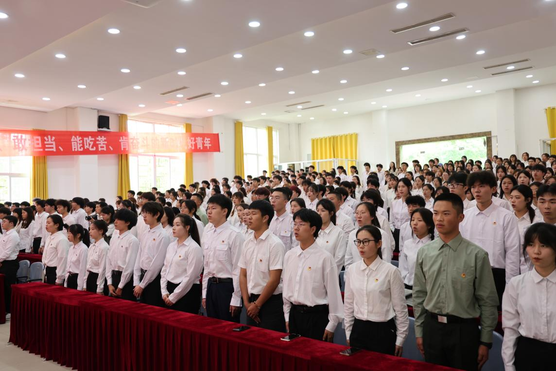 图片 3.png