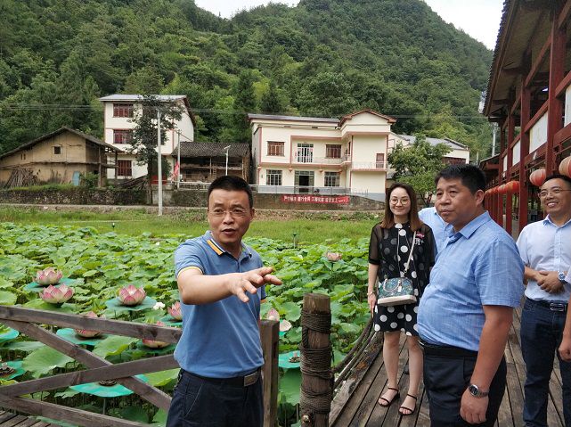 做爱视频
