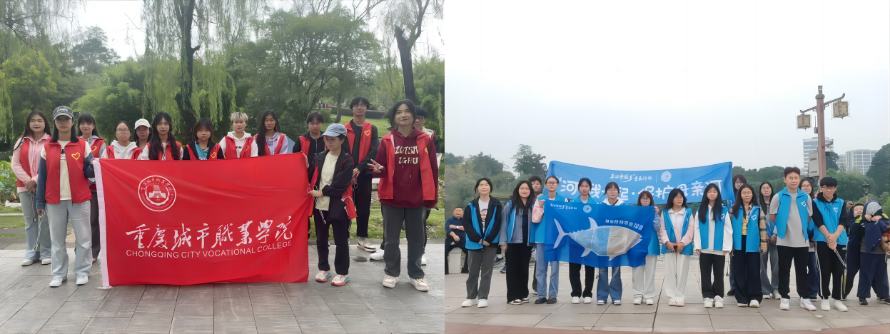 WPS拼图9.png