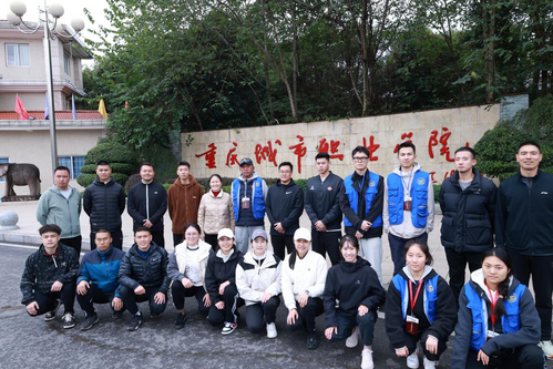 图片 6.png